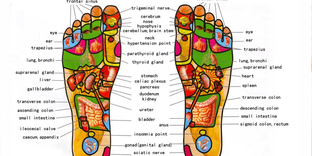 Foot Reflexology Ask Nyra Foot Reflexology Ask Nyra