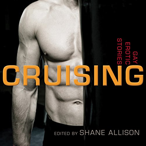 Steamy Interracial Encounters: Gay Erotica.