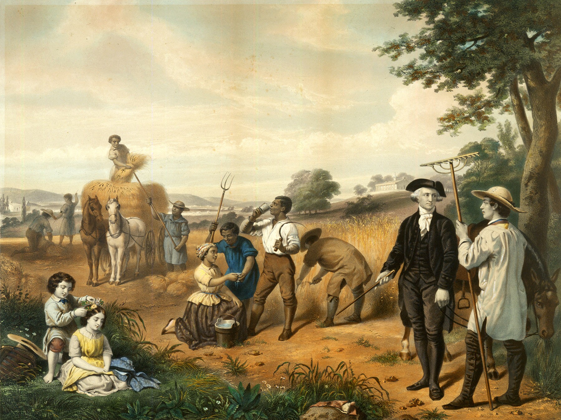 George Washington S Life George Washington S Mount Vernon