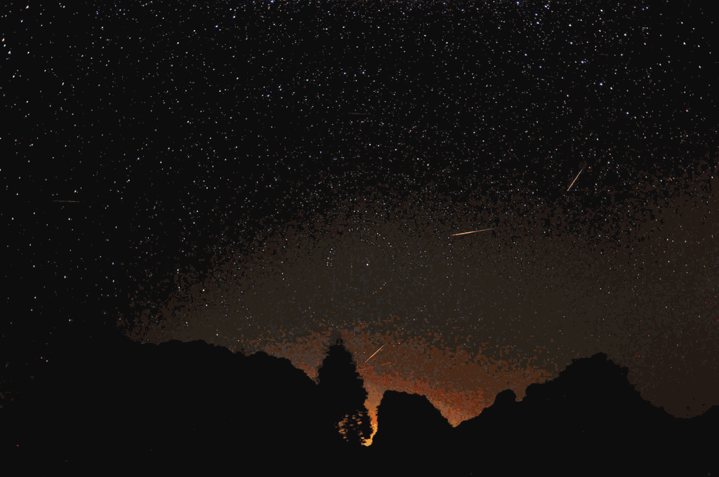 Gif Soogif Gif Soogif