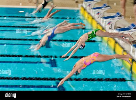 Girls Diving Into A Pool At The Start Of A Swim Meet Stock Photo Alamy Girls Diving Into A Pool At The Start Of A Swim Meet Stock Photo Alamy
