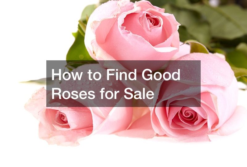 Good Online Shopping Sites