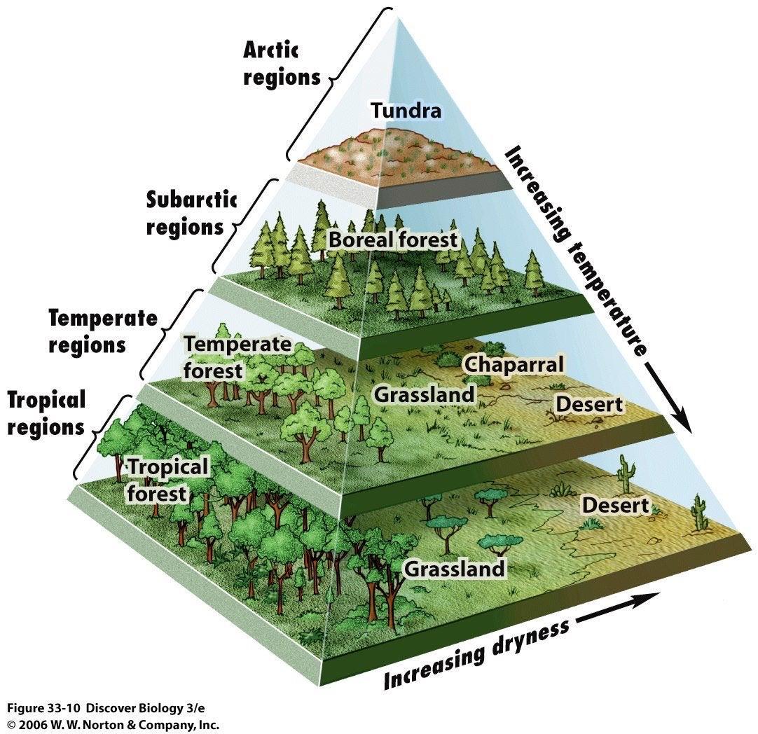 Guide To Biomes R Coolguides Guide To Biomes R Coolguides