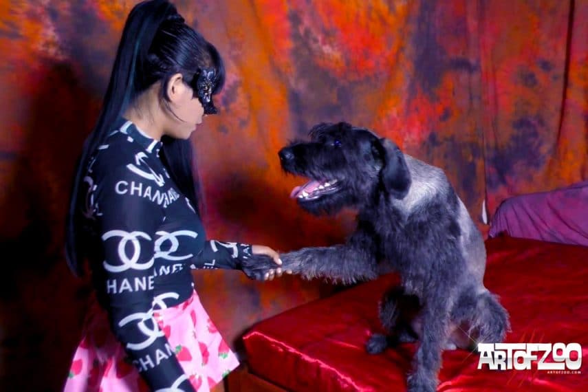 Hard Dog Life 2 Artofzoo Home Of Animal Porn Hard Dog Life 2 Artofzoo Home Of Animal Porn