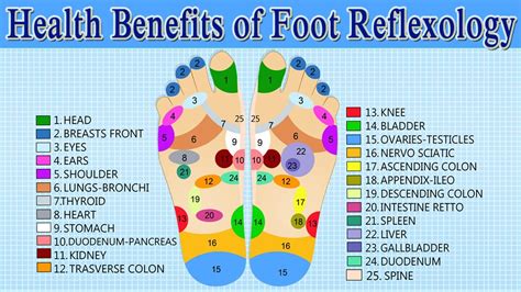 Health Benefits Of Foot Massage Reflexology How To Give Yourself A Health Benefits Of Foot Massage Reflexology How To Give Yourself A