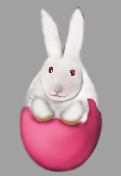 Highlandbunny Onlyfans Leaked