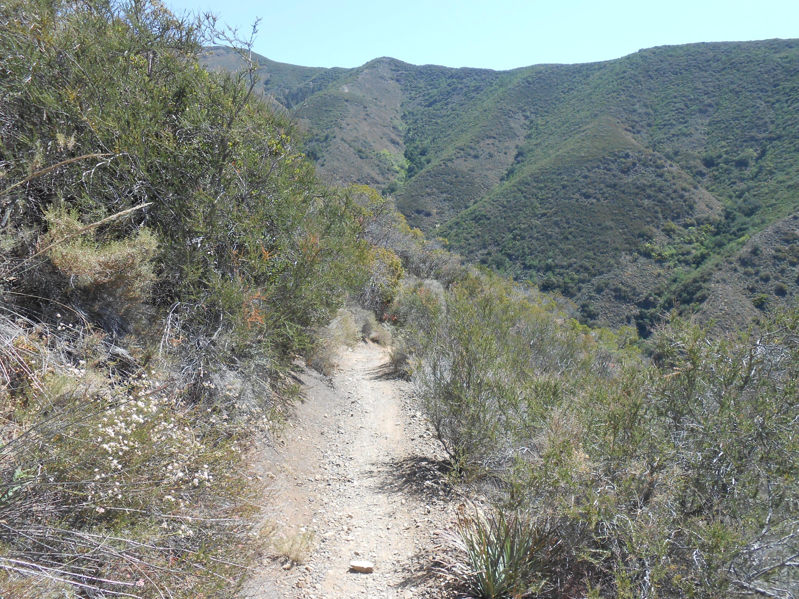 Holy Jim Trail Parking Holy Jim Trail Parking
