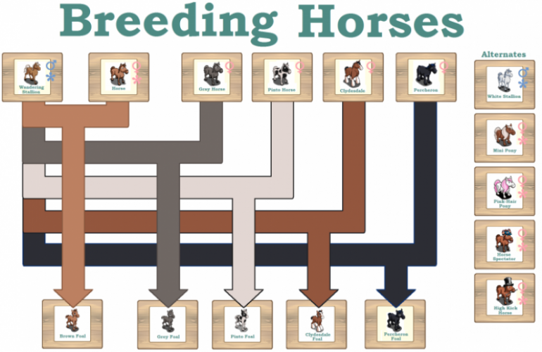 Horse Breeding Chart Farmville Neighbours Horse Breeding Chart Farmville Neighbours