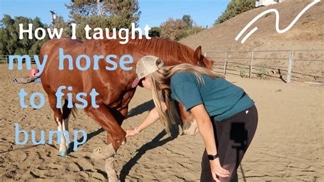 Horse Fist Play Secrets