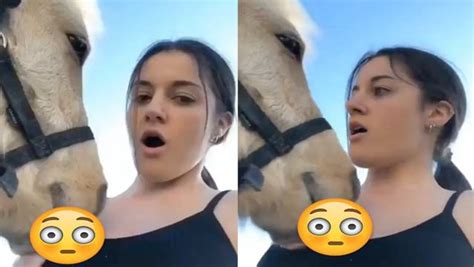5 Tips: Horse Licking Behavior Explained 5 Tips: Horse Licking Behavior Explained