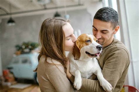 How Can Couples Maintain Intimacy When There S A Dog In The Bed How Can Couples Maintain Intimacy When There S A Dog In The Bed