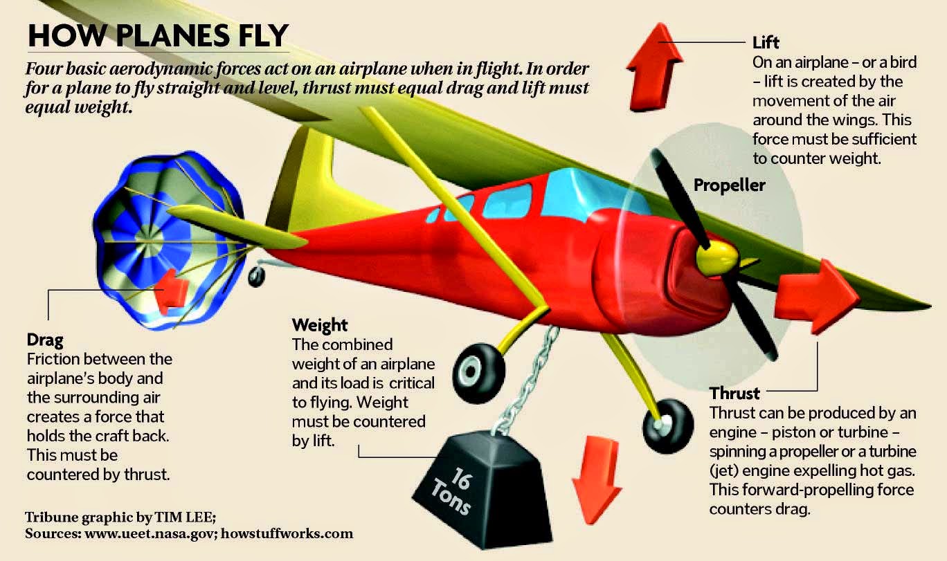 The Sky-High Adventures: Commercial Flight Elevations