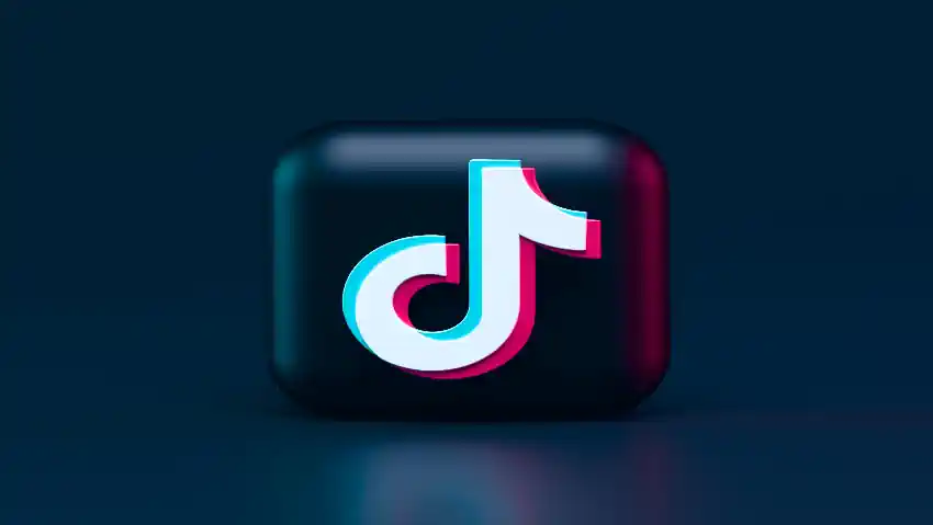 How Much Does Tiktok Pay Free Calculator How Much Does Tiktok Pay Free Calculator