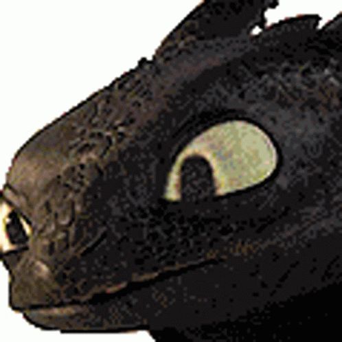 Toothless and Hiccup: A Steamy Adventure.
