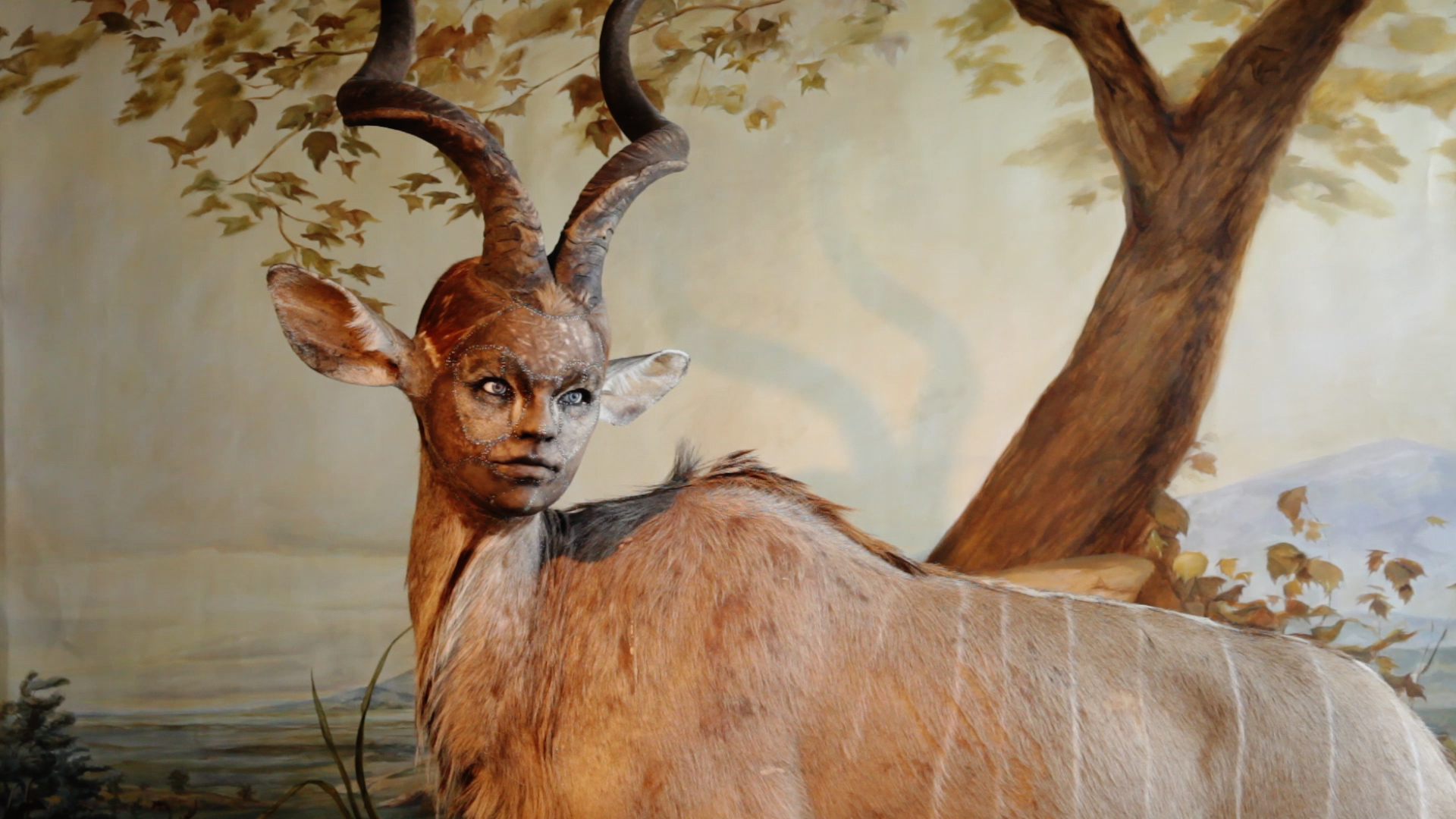Human Looking Faces On Animal Bodies Taxidermy As Art Human Looking Faces On Animal Bodies Taxidermy As Art