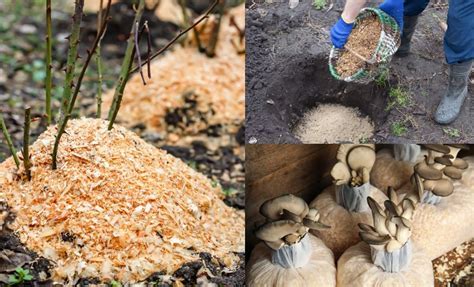 Is Cellulose Sawdust