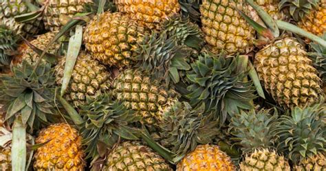 Is Rotten Pineapple Poisonous