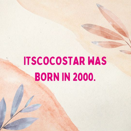 Itscocostar Instagram Star Age Bio Wiki Height Weight Itscocostar Instagram Star Age Bio Wiki Height Weight