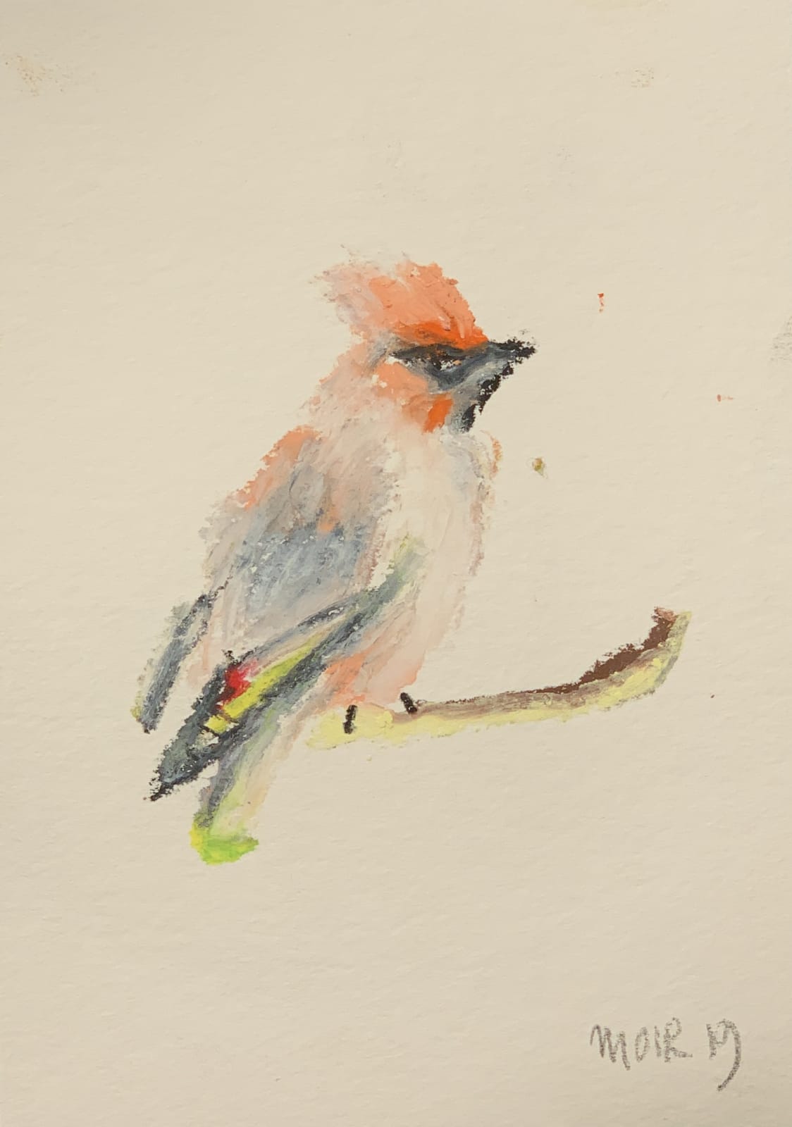 The Enigmatic Bird Paintings of Jim Moir
