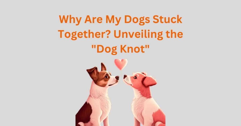 The Knotty Canine: Exploring Canine Knots