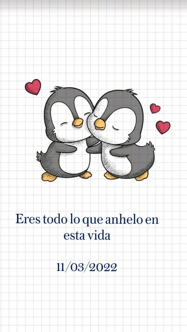 La Belleza De Los Animales Eres Todo Lo Que Siempre So E La Belleza De Los Animales Eres Todo Lo Que Siempre So E