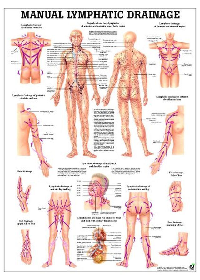 Lymphatic Massage Therapy Near Me