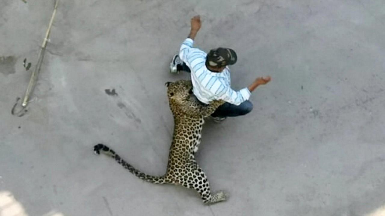 Man Killed.by Warthog Man Killed.by Warthog