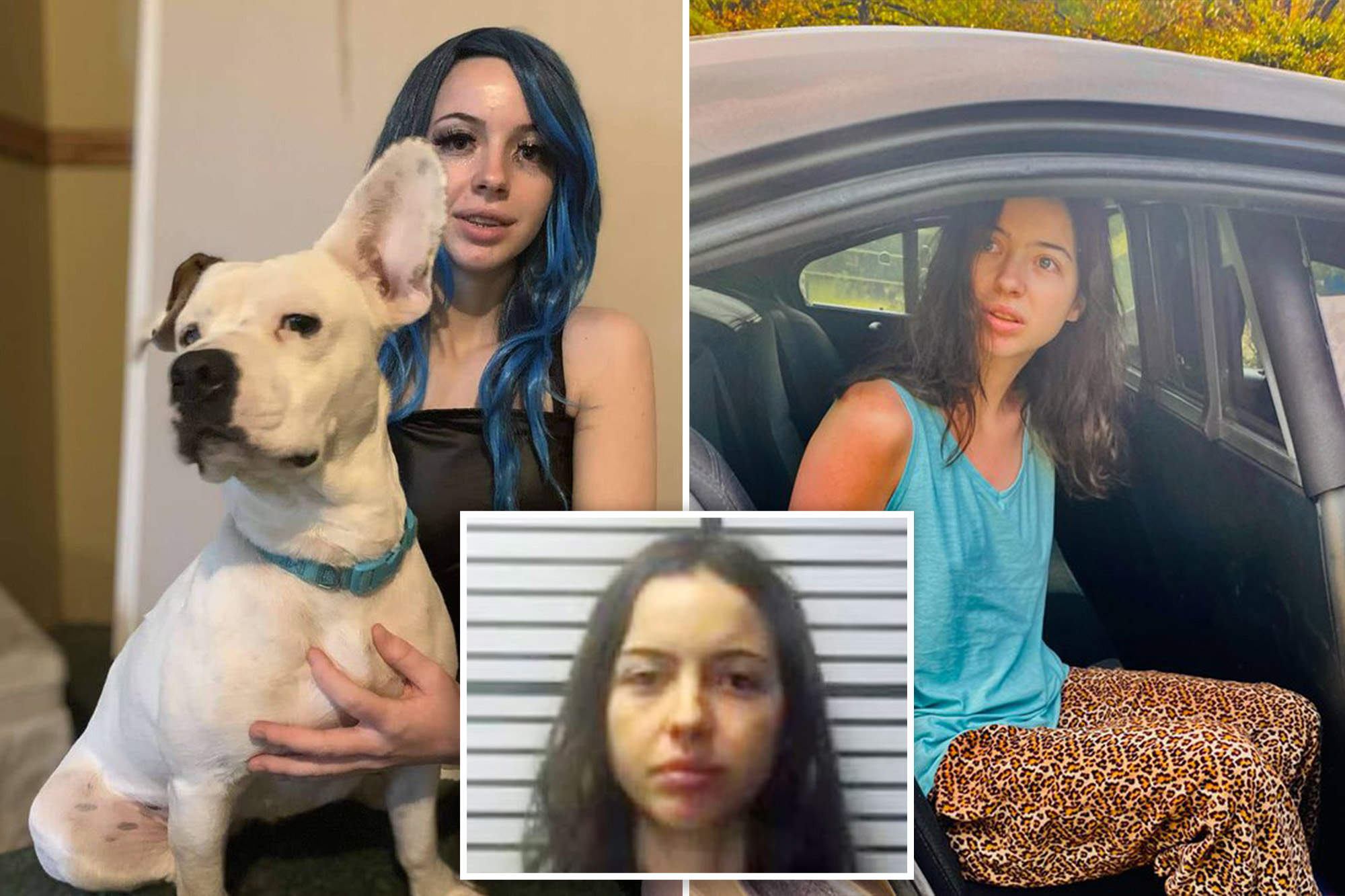 Mississippi Girl 19 Filmed A Dog Sex Video That Featured Three Mississippi Girl 19 Filmed A Dog Sex Video That Featured Three