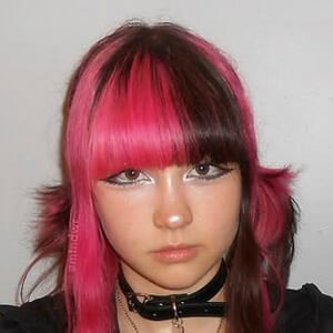 Mtndwr Age Family Bio Famous Birthdays Mtndwr Age Family Bio Famous Birthdays