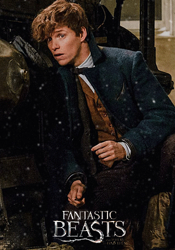 Obscurity Newt Scamander X Reader 8 Wattpad Obscurity Newt Scamander X Reader 8 Wattpad