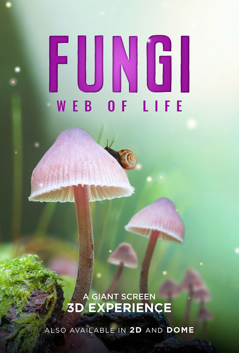 Official Trailer For Imax Movie Fungi Web Of Life Narrated By Bj Rk