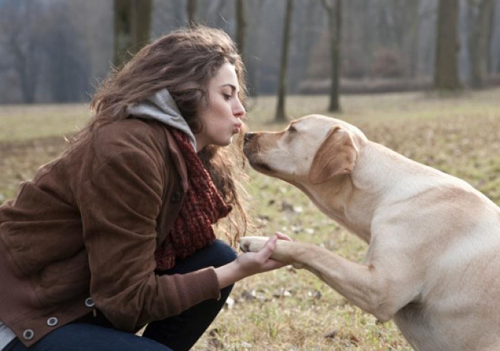 One In Ten Women Love Their Pet More Than Partner Service Animal One In Ten Women Love Their Pet More Than Partner Service Animal