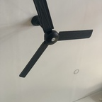 Only Fan Free