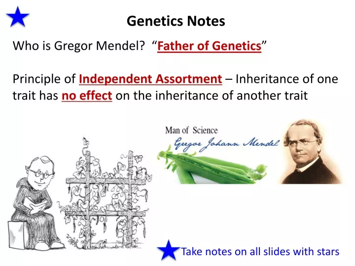Open Your Gregor Mendel And Genetics Notes Ppt Download Open Your Gregor Mendel And Genetics Notes Ppt Download