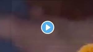 Original Leaked Of Breckiehill Video Sofia The Baddie Dog Video Original Leaked Of Breckiehill Video Sofia The Baddie Dog Video