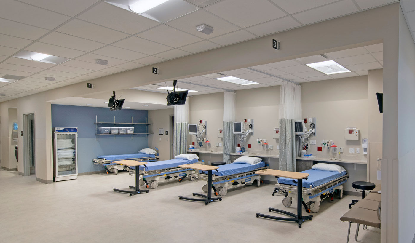 Ortho Surgery Orthopedic Physician Assistant Ortho Orthopedic Surgery Ortho Surgery Orthopedic Physician Assistant Ortho Orthopedic Surgery