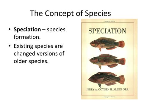 Ppt Formation Of Species Powerpoint Presentation Free Download Id Ppt Formation Of Species Powerpoint Presentation Free Download Id