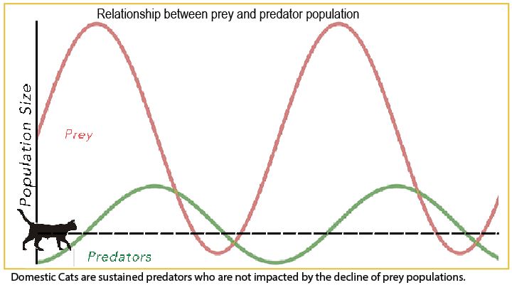 The Ultimate Guide to Predator-Prey Dynamics