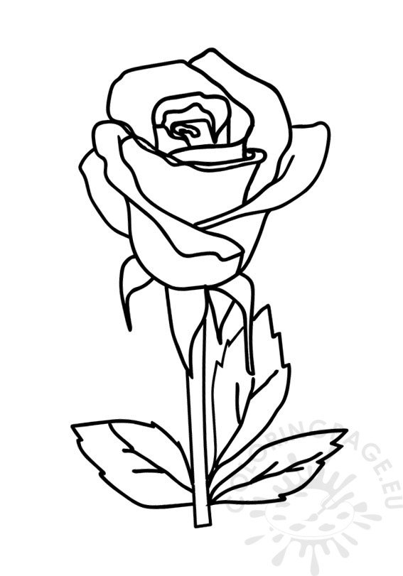 Rose Bud Nude: 5 Tips