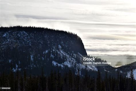 Santiam Pass Exploration Stock Photo Download Image Now Close Up Santiam Pass Exploration Stock Photo Download Image Now Close Up