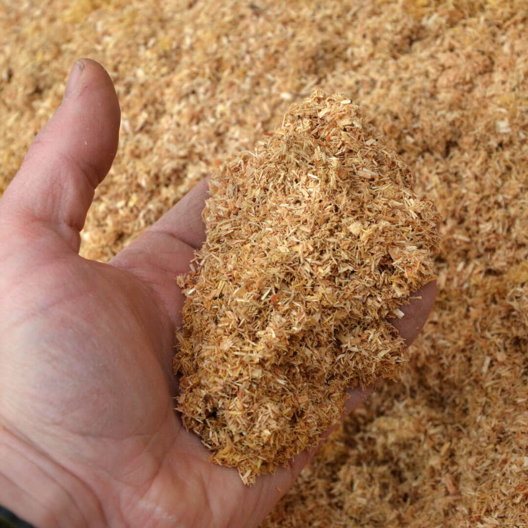 Sawdust Co2 Biomass Sawdust Co2 Biomass