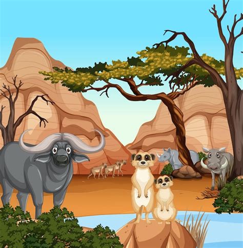 La magia de 'seco con animales' La magia de 'seco con animales'