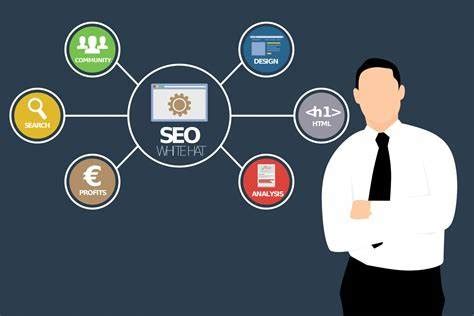 Seo Domain Analysis