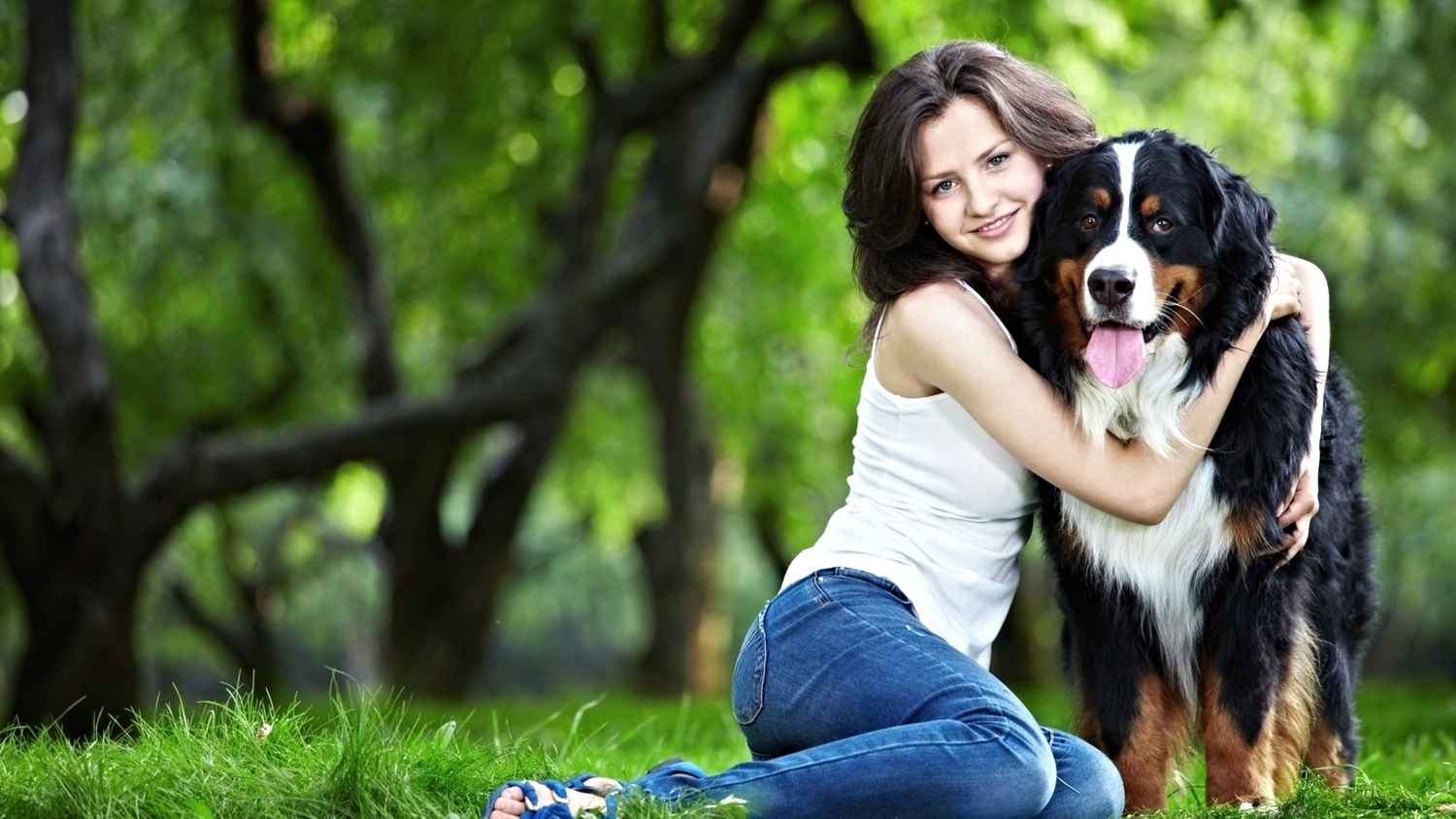 Animal Sex Secrets: Unveiling the Wild Side