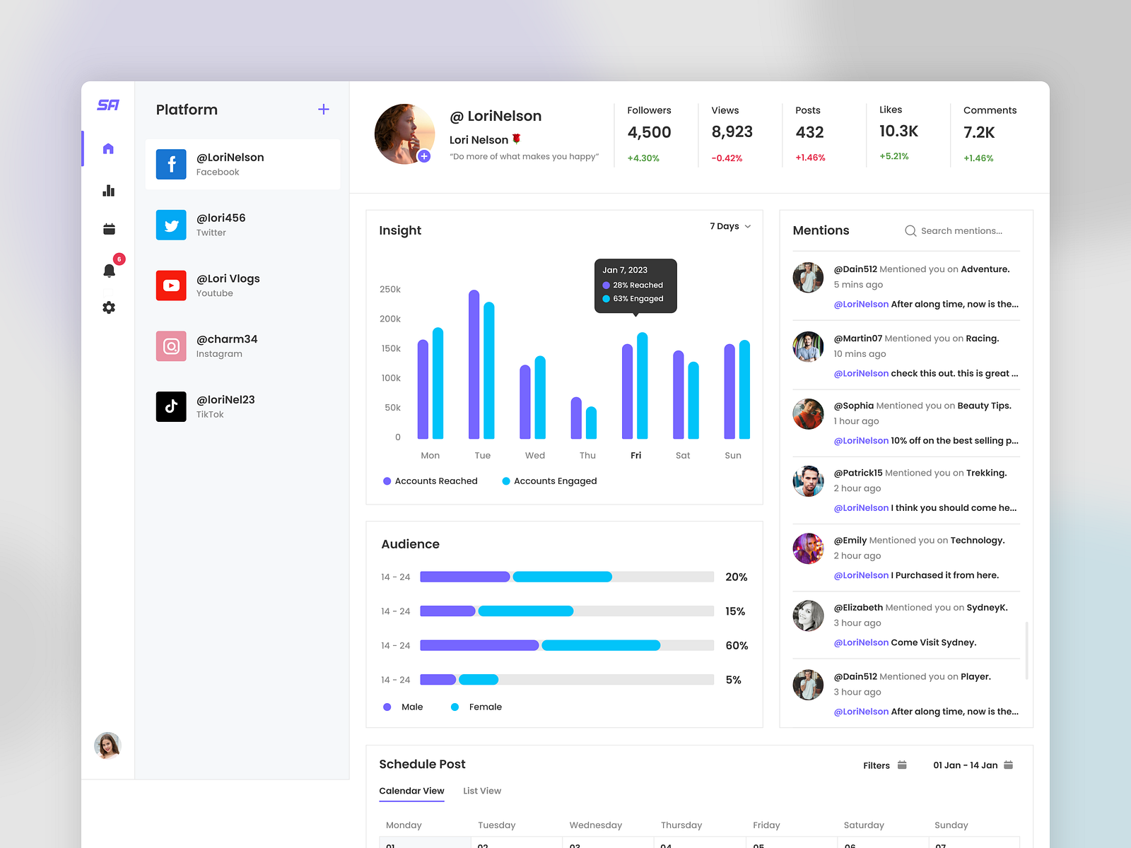 Social Media Analytics Tool