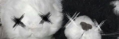 Sofia Sofiareynax Twitter Sofia Sofiareynax Twitter