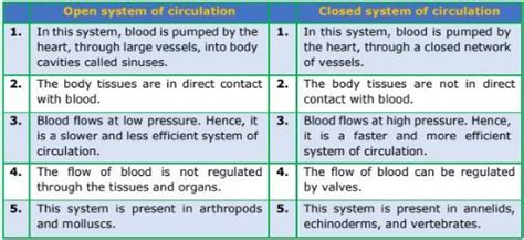 Solved Write The Differences Between Open And Closed System Of Self