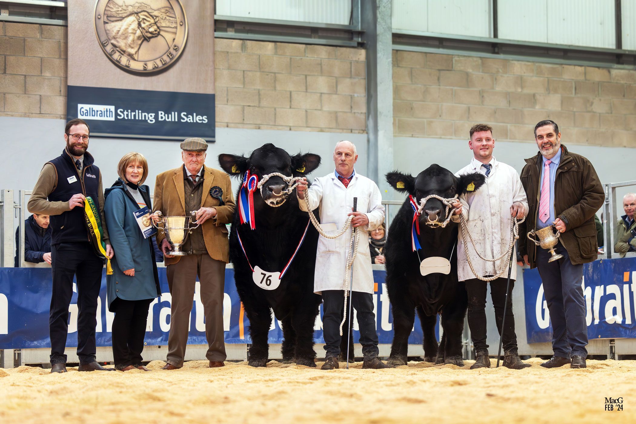 5 Tips for Stirling Bull Sales Success