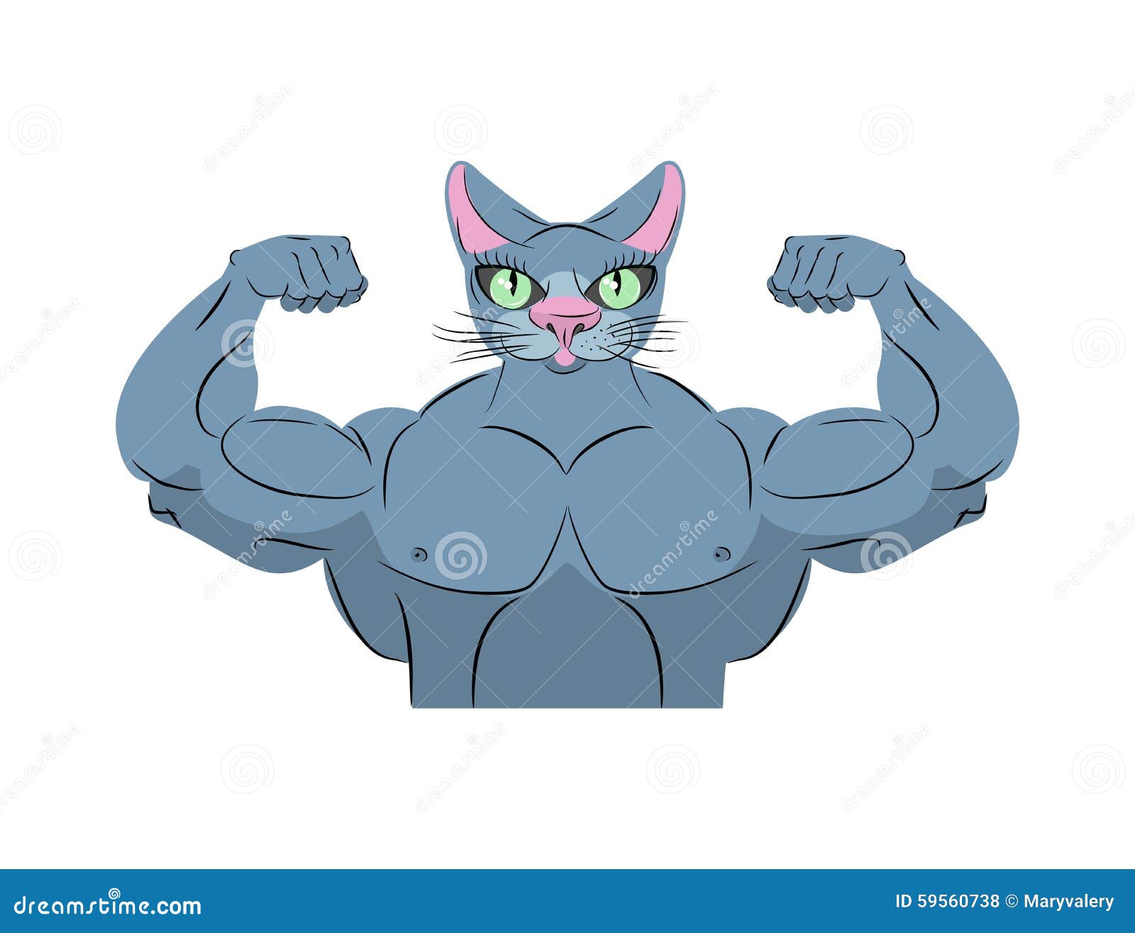 Strong Cat Power Animal Bodybuilder Pet With Big Muscles Embl Stock Strong Cat Power Animal Bodybuilder Pet With Big Muscles Embl Stock