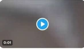 Taliyaandgustavo Leak Sex Tape R Bigassbuffchicks Taliyaandgustavo Leak Sex Tape R Bigassbuffchicks